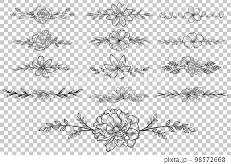 繊細な植物や花のボタニカルラインセット　ベクター素材 98572668