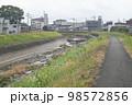白い菜の花の咲く九州地方福岡県久留米市の河川 筑後川支流高良川の風景 98572856
