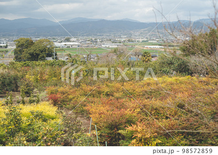 福岡県筑後地方田主丸町 耳納山地の風景 福岡県筑後地方田主丸町 耳納山地の風景 98572859
