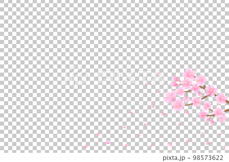 桜と舞い散る花びら 98573622