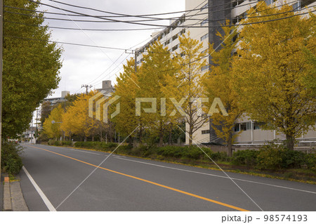 松戸市 和名ヶ谷 周辺の風景 松戸市 和名ヶ谷 周辺の風景 98574193