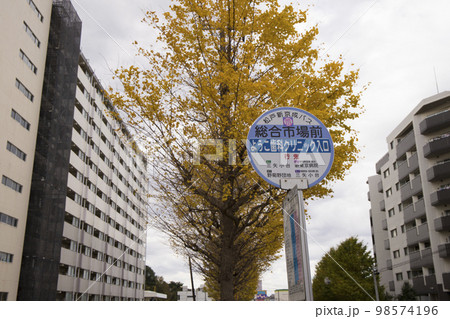松戸市 和名ヶ谷 周辺の風景 松戸市 和名ヶ谷 周辺の風景 98574196