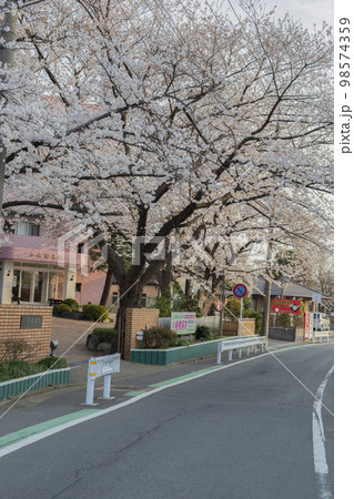 桜と病院の風景　イメージ 98574359