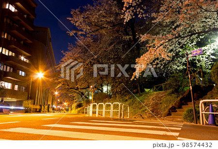 都会に咲く桜の風景イメージ 98574432