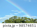 虹の麓 98574651