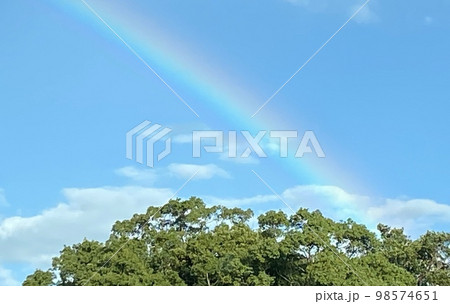 虹の麓 98574651