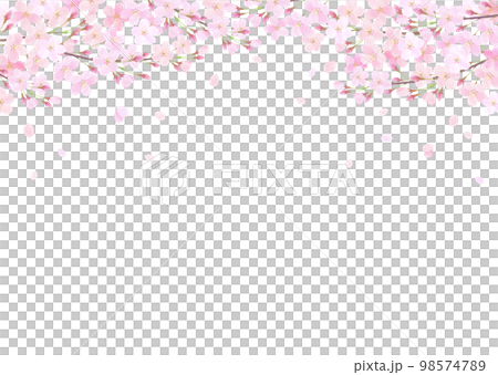 白バックの桜の水彩タッチのベクターイラスト 白バックの桜の水彩タッチのベクターイラスト 98574789