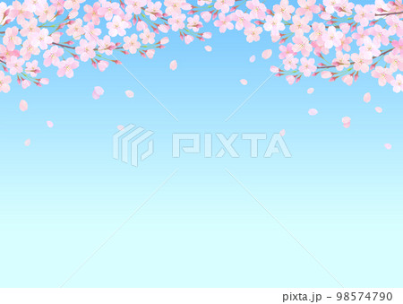 青空と桜の水彩タッチのベクターイラスト背景 98574790