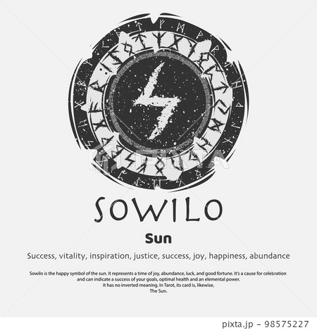 Viking Sowilo rune dark circle shield 98575227