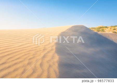 Sand dunes in the desert. Landscape in the daytime. Lines in the sand. Dunes and sky.  98577833