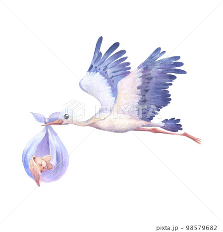 Watercolor hand painted flying white stork with sleeping baby bunny. Hand painted ciconia bird illustration isolated on white background. 98579682