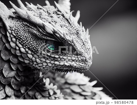 Little dragon portrait 98580478