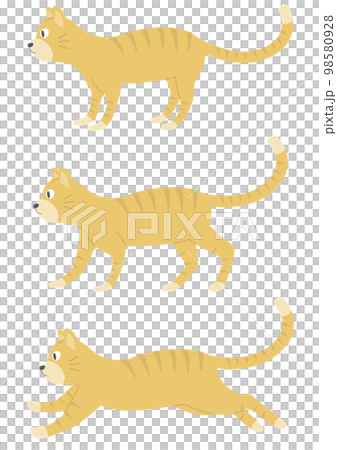 Set of brown cat illustrations _ 1 _ brown tiger Set of brown cat illustrations _ 1 _ brown tiger 98580928