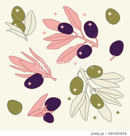Dark olives and green olives. Cartoon line art flat illustration. Charm olive 98580949