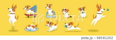 Funny Jack Russell Terrier Doing Different Activity Vector Set 98581202