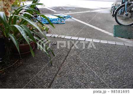 香川県高松市珍しい雪の朝うちの庭先 98581695