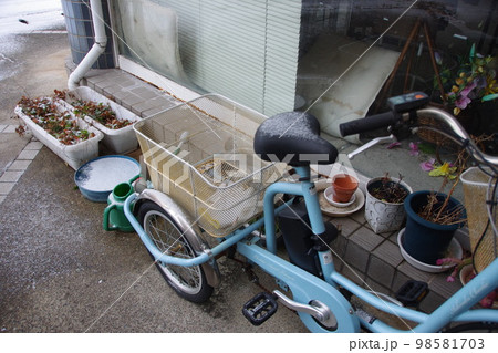 香川県高松市珍しい雪の朝うちの庭先 98581703