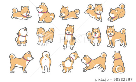 柴犬のベクターイラスト 98582297