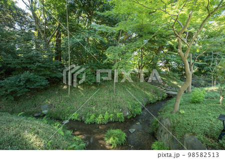 小石川後楽園　東京都文京区後楽 98582513