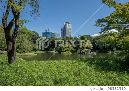 小石川後楽園　東京都文京区後楽 98582519
