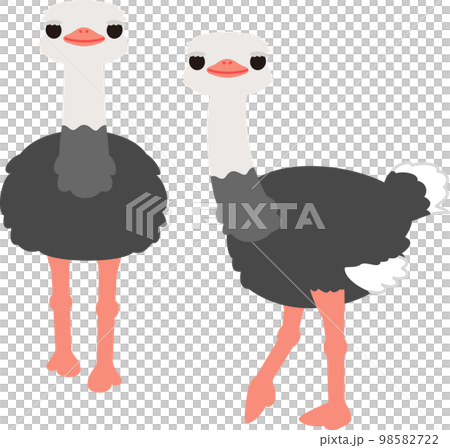 鴕鳥性格 98582722