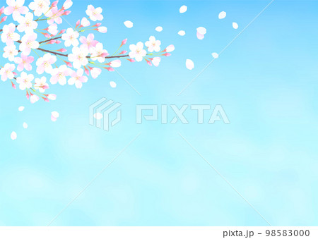青空と桜の水彩タッチのベクターイラスト背景 98583000