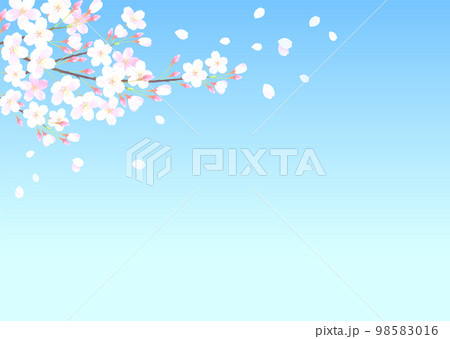 青空と桜の水彩タッチのベクターイラスト背景 青空と桜の水彩タッチのベクターイラスト背景 98583016
