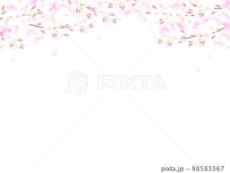 白バックの桜の水彩タッチのベクターイラスト 白バックの桜の水彩タッチのベクターイラスト 98583367