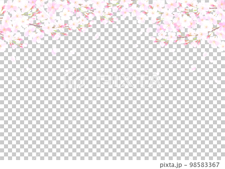 白バックの桜の水彩タッチのベクターイラスト 白バックの桜の水彩タッチのベクターイラスト 98583367