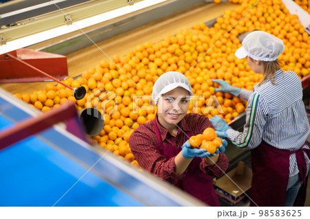 Smiling young female sorter showing ripe mandarins 98583625