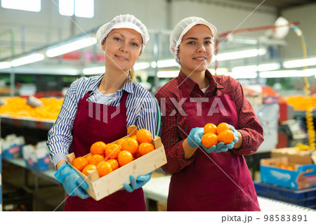 Two glad positive female employees hold a box of fresh ripe tangerines in their hands on citrus sorting line at warehouse. 98583891