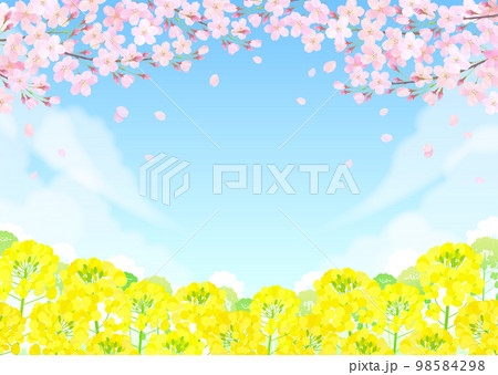 桜と菜の花 桜吹雪 青空 桜と菜の花 桜吹雪 青空 98584298