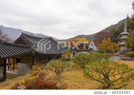 韓国 風景 自然 98585493
