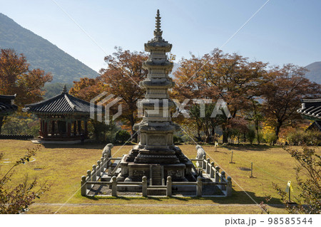 韓国 風景 自然 98585544