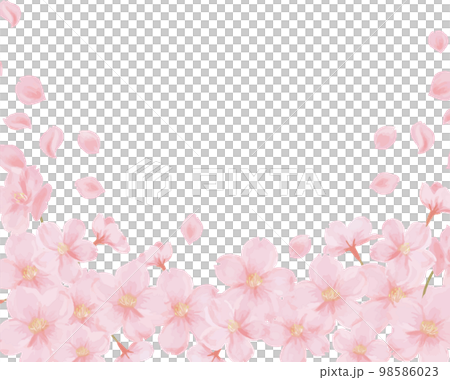 櫻花插畫01 櫻花插畫01 98586023