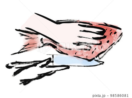 鯛をさばいているの手描き和風イラスト 98586081