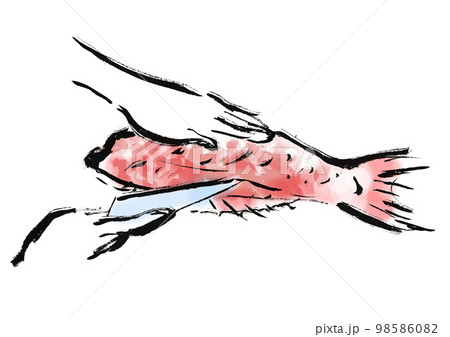 鯛をさばいているの手描き和風イラスト 98586082
