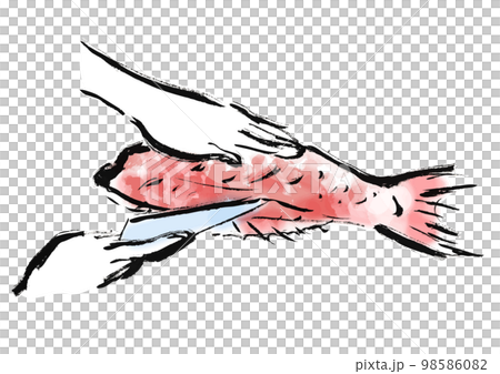 Hand-drawn Japanese style illustration of a sea bream 98586082