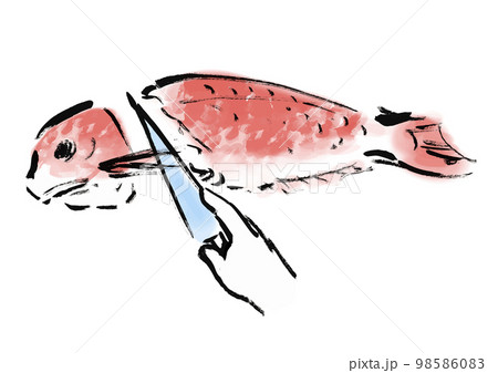 鯛をさばいているの手描き和風イラスト 98586083