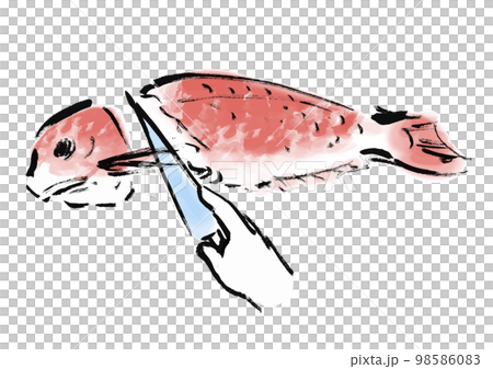 鯛をさばいているの手描き和風イラスト 98586083