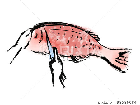 鯛をさばいているの手描き和風イラスト 鯛をさばいているの手描き和風イラスト 98586084