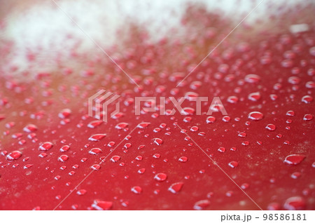 water on red hood car, transportation background water on red hood car, transportation background 98586181