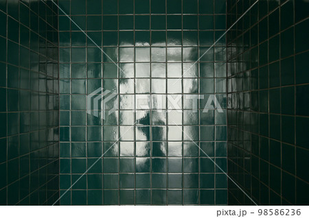 dark green wall bathroom, interior design 98586236