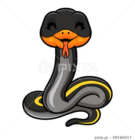 Cute black copper rat snake cartoon 98586657