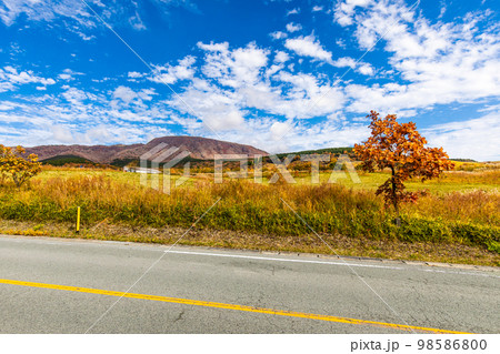 瀬の本からの久住高原の草紅葉　【熊本県阿蘇郡南小国町】 98586800