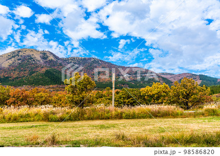 瀬の本からの久住高原の草紅葉　【熊本県阿蘇郡南小国町】 98586820