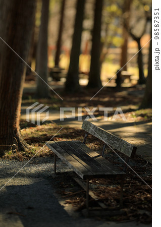 公園の寂し気なイメージ 公園の寂し気なイメージ 98587351