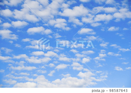 羊雲 98587643