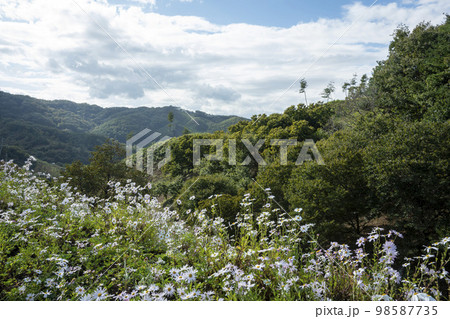 韓国 風景 自然 98587735