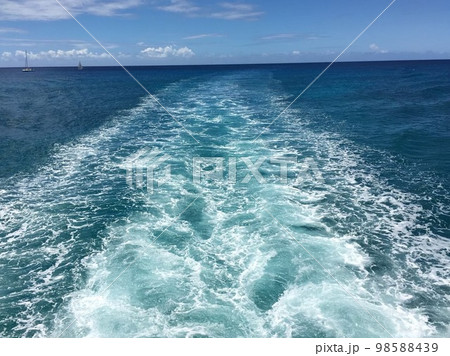 海 海 98588439